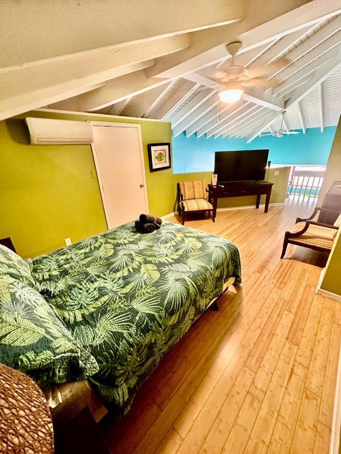 Willa Harbor View 2Bed 1Bath Loft In Downtown Red Hook! East End  Zewnętrze zdjęcie